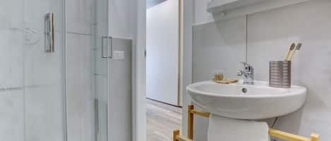 Shower, hair dryer, bidet, towels