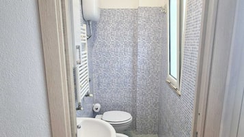 Hair dryer, bidet, towels, soap