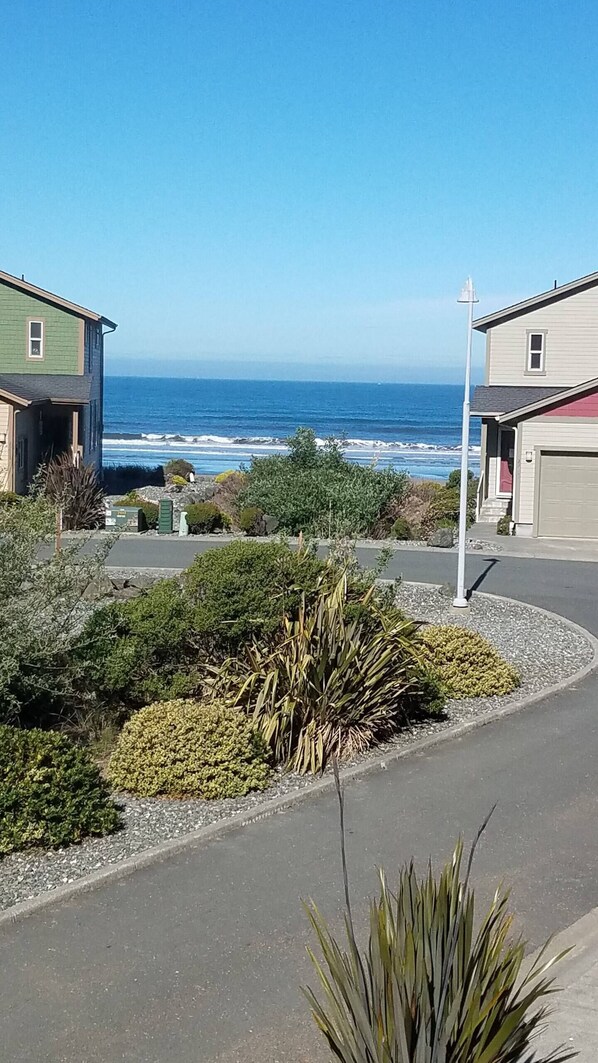 A coastal residential area with houses, a road, and a view of the ocean.
