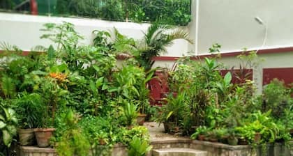 Yellowbrick-Calcutta's Freshest BnB
