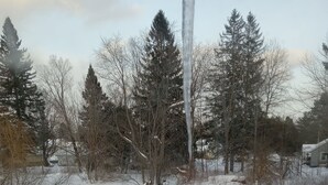 Une cour arrière enneigée avec un jacuzzi, des arbres et une maison en arrière-plan.