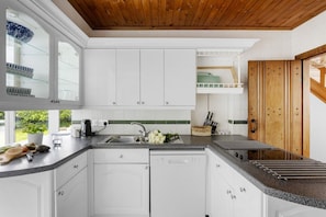 A modern kitchen with white cabinets, a granite countertop, and a wooden ceiling. - Blue Haze (Charlestown)