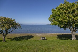 Beach - Lake Front Oasis | Across from the Lake with Deck, Courtyard & Space to Relax (Taupō)