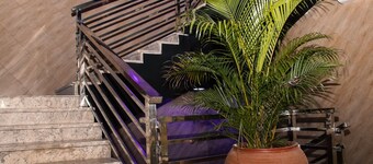 American Court Hotels 