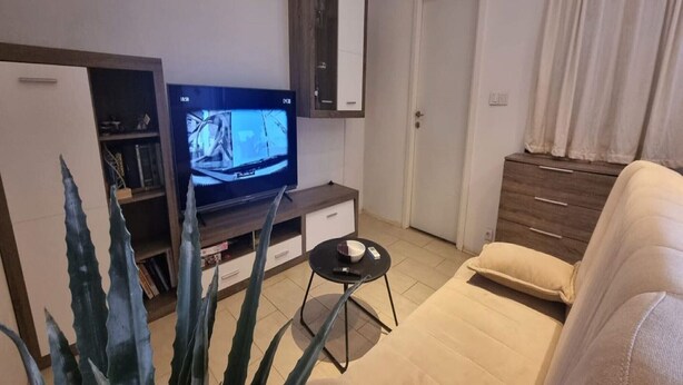 Una sala de estar con una televisión, un sofá, un armario y una planta en maceta.
