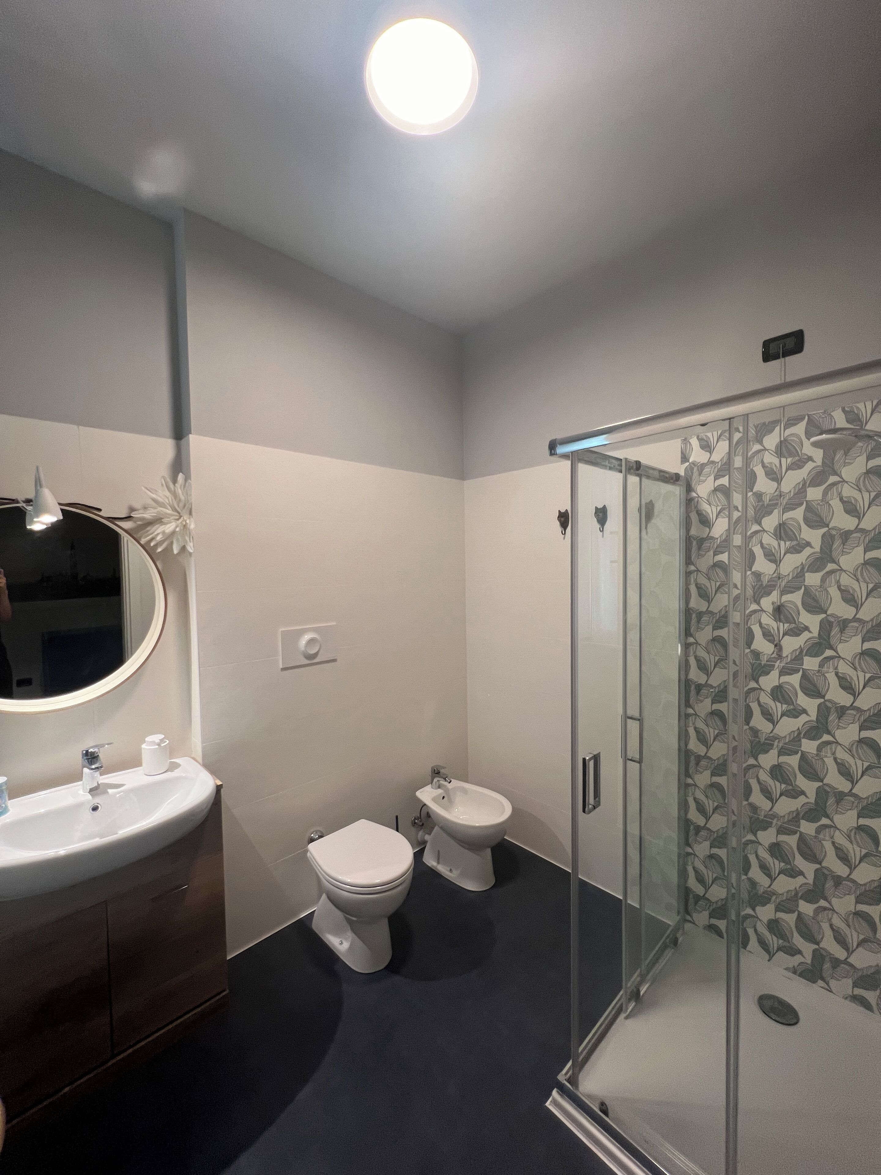 Ducha, secador de pelo, bidet, toallas