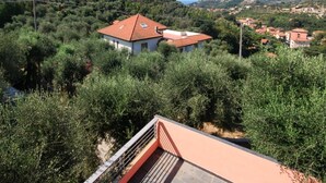 Un quartier résidentiel où les maisons sont entourées d’une végétation luxuriante, sous un ciel dégagé, et d’où l’on aperçoit une ville au loin.