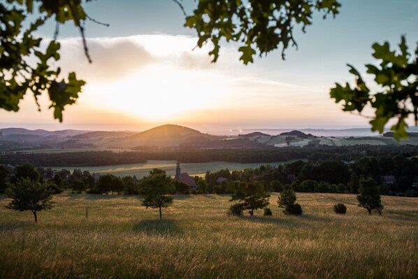 Vista panorámica de un paisaje campestre con colinas onduladas, un río y árboles dispersos.