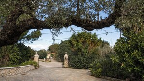 Un chemin de pierre mène à une entrée fermée par un portail, qui est elle-même entourée d’une végétation luxuriante et surplombée par un grand arbre dont les branches s’arquent au-dessus du chemin.