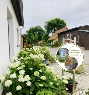 Overnattingsstedets uteområder