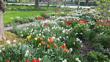 Jardines del alojamiento
