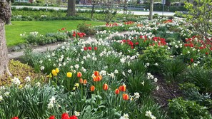 A garden with various flowers and trees. - Apartment 'Ilse' with Private Terrace, Shared Garden and Wi-Fi (Schülperweide)