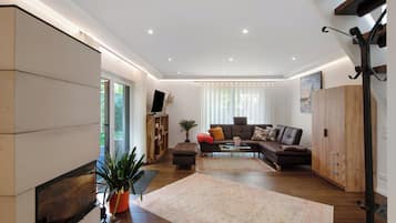 TV, fireplace