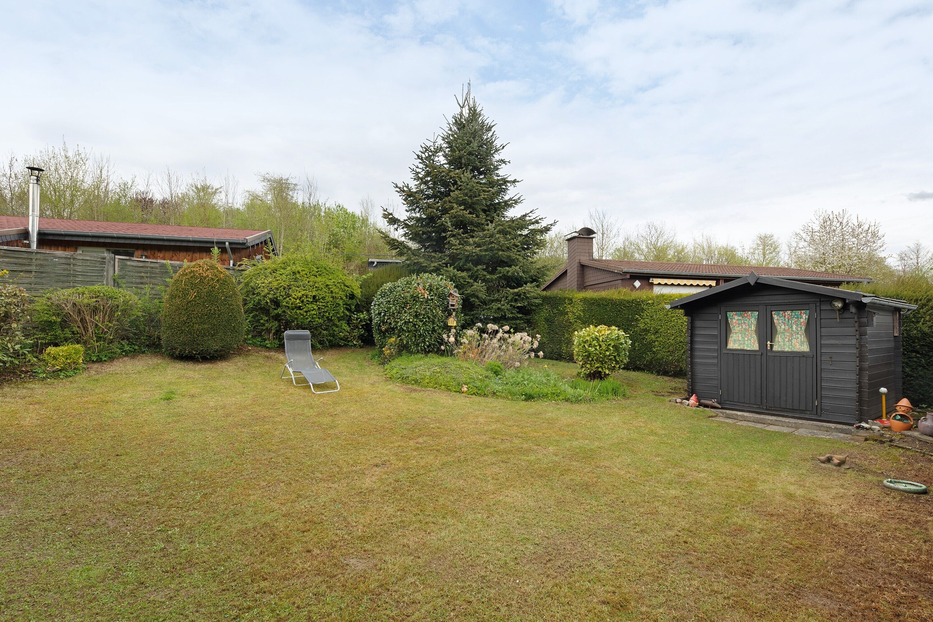 A backyard with a lawn, a shed, and a tall evergreen tree.