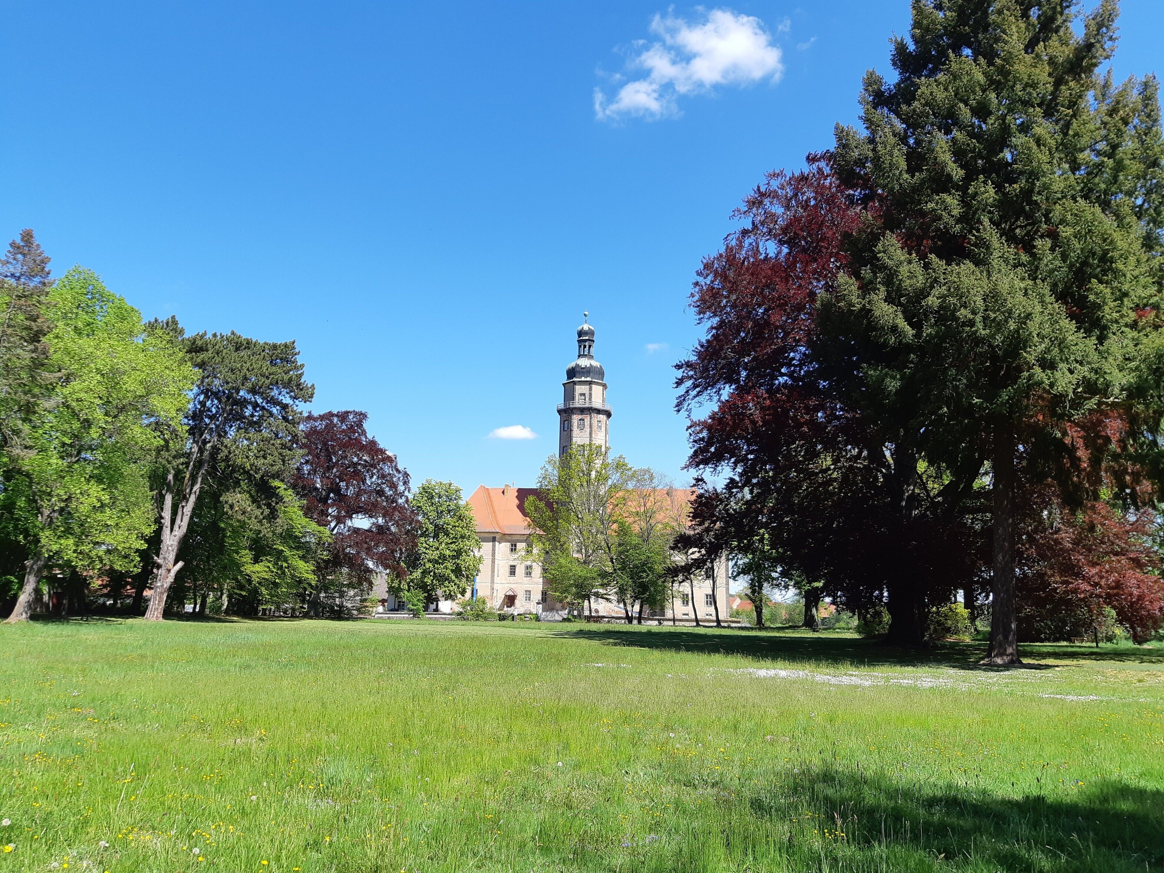 Un campo cubierto de hierba con un edificio y una torre al fondo.