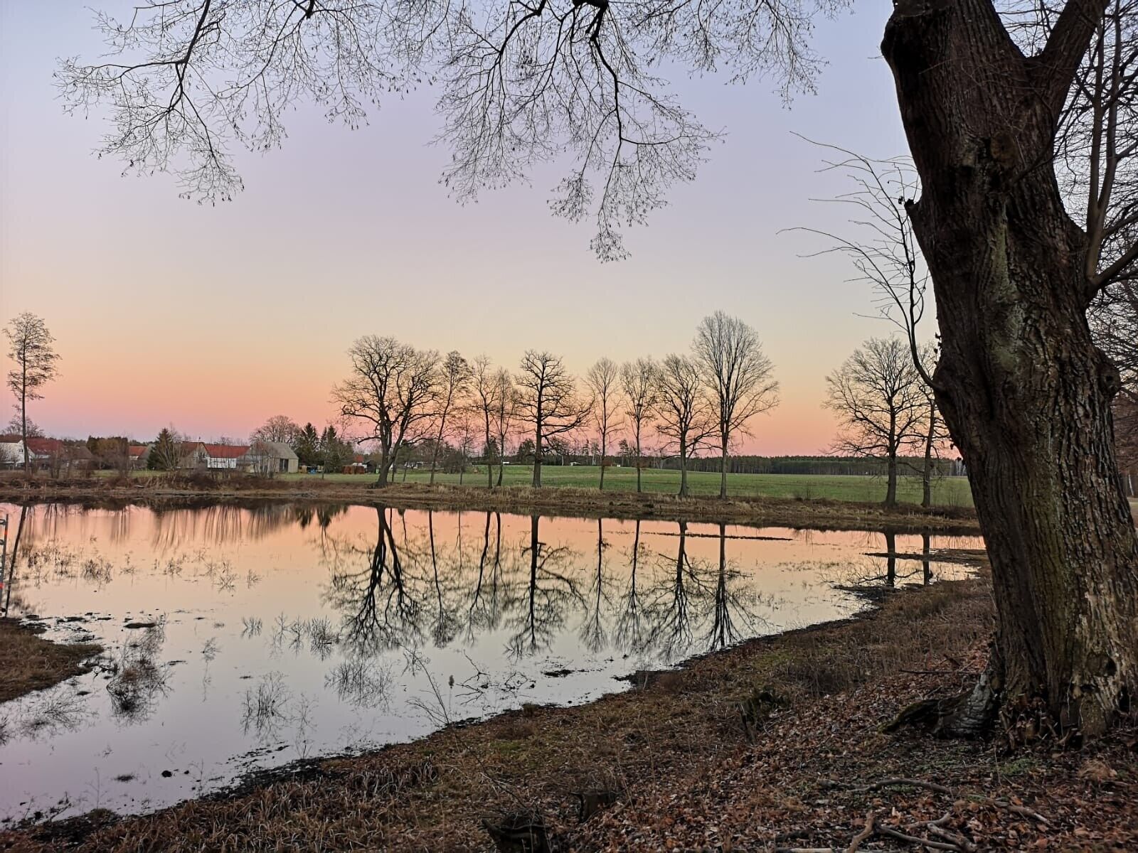 A serene landscape with a body of water reflecting trees and a clear sky.
