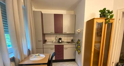 Einzimmerapartment '-Apartment' mit Wi-Fi