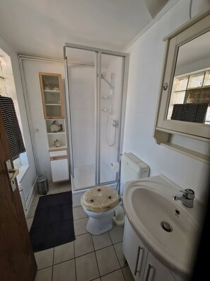 Suihku, hiustenkuivaaja