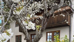 A tree with white blossoms, a building with a wooden facade, and a flower bed with yellow flowers.