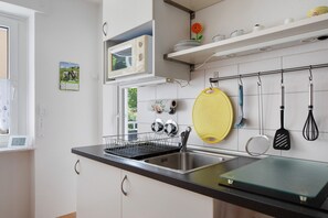 Fridge, microwave, oven, stovetop - Apartment 'Ardoma' with Balcony and Wi-Fi (Freiburg im Breisgau)