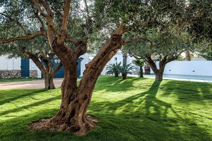 Property grounds - Casa Kita with shared pool - My Rental Homes (Marsala)