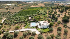 An aerial view of a property with a swimming pool, olive groves, and a white building.