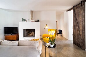 Télévision, cheminée, chaîne hi-fi