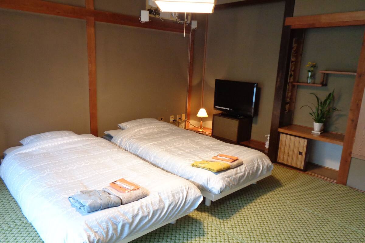 A twin room with two beds, a TV, a bedside lamp, and a small shelf with a plant.