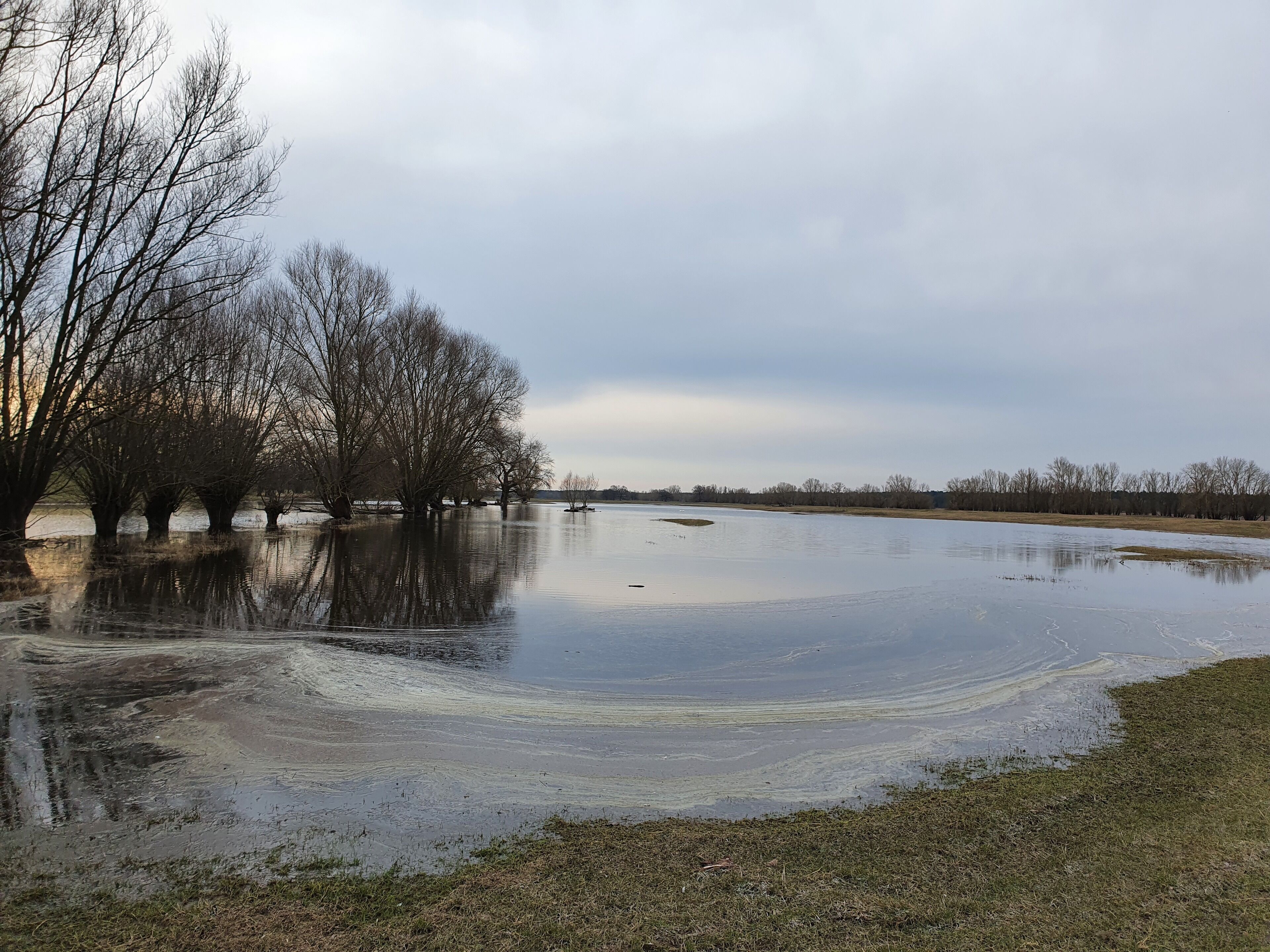 Un parc inondé, avec des arbres sans feuilles et une surface d’eau calme.