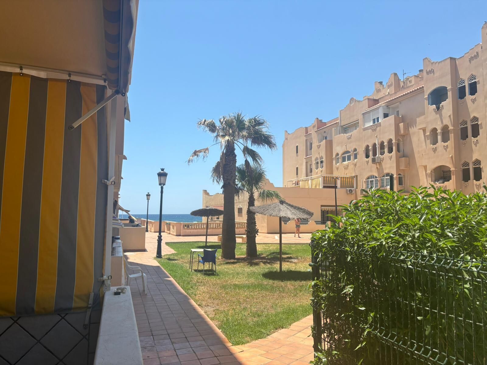 A courtyard with palm trees, a pathway, and a building with arched windows and balconies.