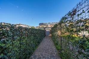A stone pathway leading to a building entrance, flanked by dense green hedges.