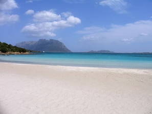 Beach - AJO by the sea - Cozy apartment in San Teodoro center (San Teodoro)
