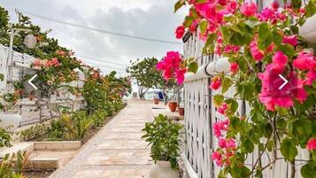 Bagian depan properti