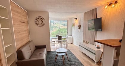 Newly renovated apartment 10 minutes from Collioure market. Ideal for families.