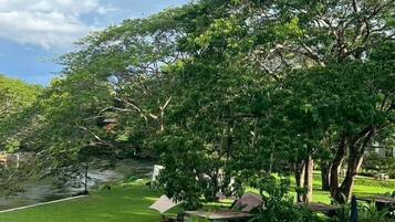 A swimming pool surrounded by lush greenery and trees.