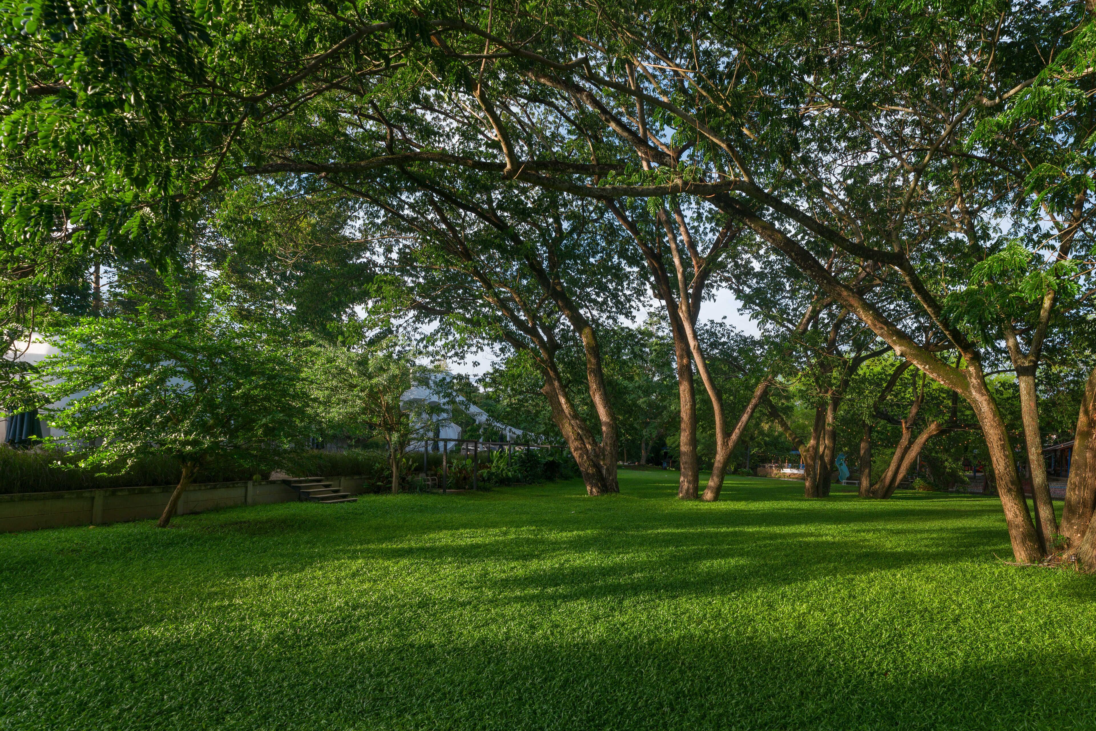 A park with a grassy area, trees, and a bench.