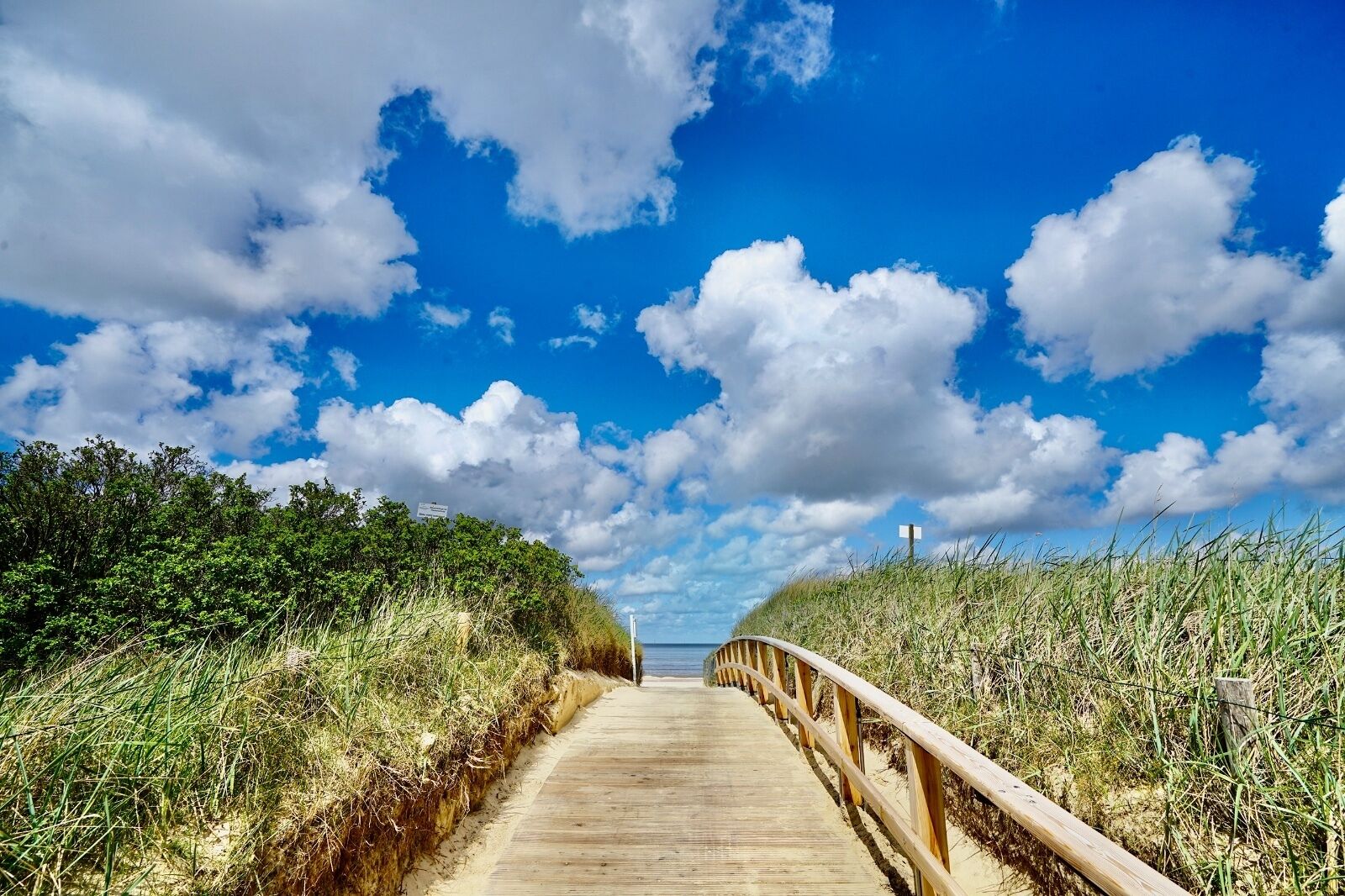 Ein hölzerner Steg führt zum Strand, umgeben von Gras und Bäumen, unter einem bewölkten Himmel.