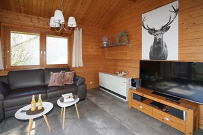 Tv, dvd-spelare, ett filmbibliotek och en stereo