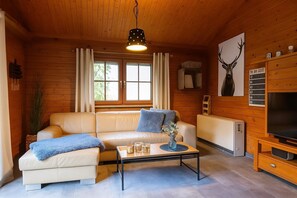 Tv, dvd-afspiller, videobibliotek, stereoanlæg