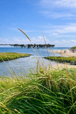 Beach nearby - Küstenhaus Kormoran - your retreat on the coast to relax and feel good (Cuxhaven)