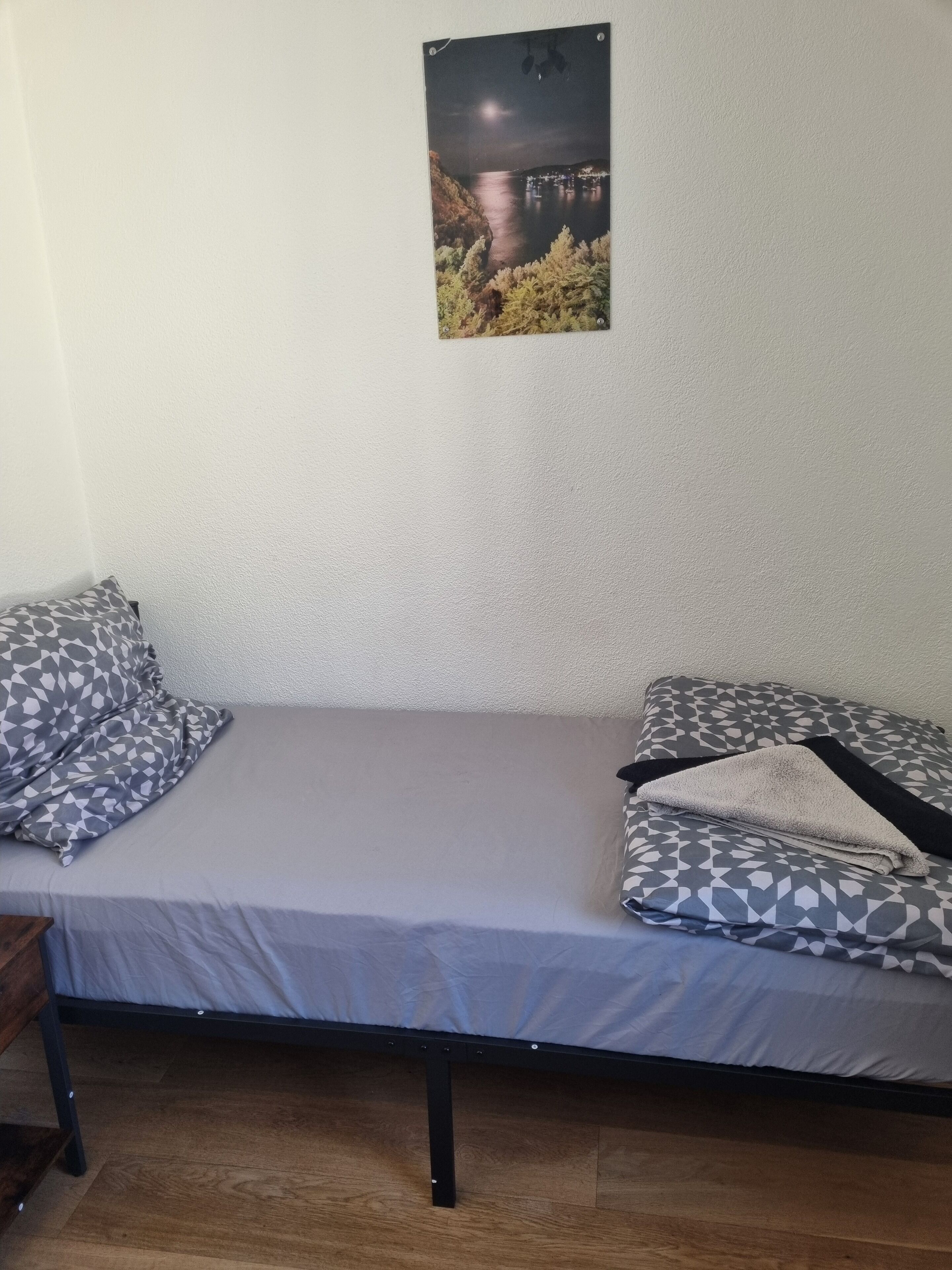 A single bed with a grey mattress and patterned pillows, a wooden floor, and a wall-mounted picture of a night scene.
