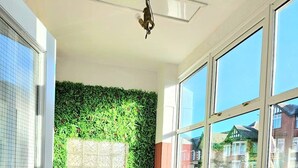 A modern interior with a green wall, large windows, and a seating area with glass tables.