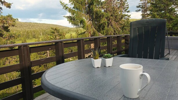 Een ronde tafel met een witte mok en twee potplanten, een donker houten hek en uitzicht op een bebost landschap.