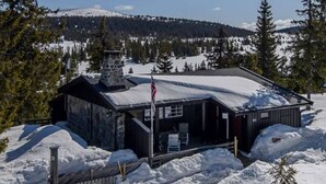 Een chalet met een met sneeuw bedekte dak, omgeven door sneeuw, met een helder uitzicht op een bebost berglandschap op de achtergrond.