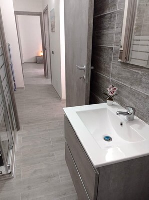 Shower, hair dryer, bidet, towels