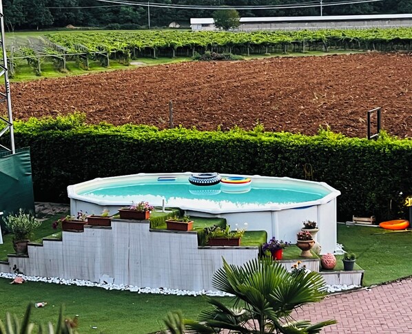 A swimming pool with a surrounding deck, a hedge, and a garden area with plants.