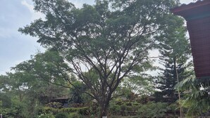 Unclassified image, 3 of 14, button - Camp Temgarh (Paud)