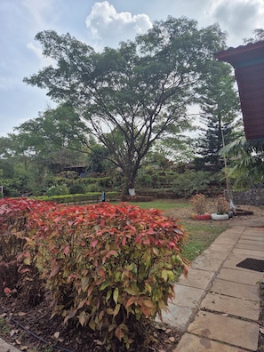 Exterior - Camp Temgarh (Paud)