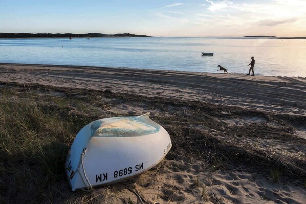 A sandy beach with a boat labeled "WX 8685 SW" and a person walking a dog.