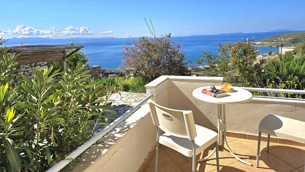 Un balcon avec vue sur la mer, une table avec une chaise et quelques plantes.